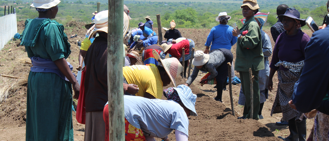 Market Linkage, Mentoring & Coaching: World Vision
