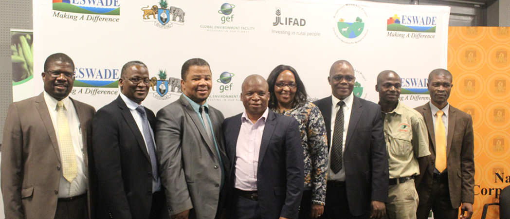 Lulote BMEP & Collaborative Partners