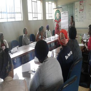 Mentorship and Coaching Programme