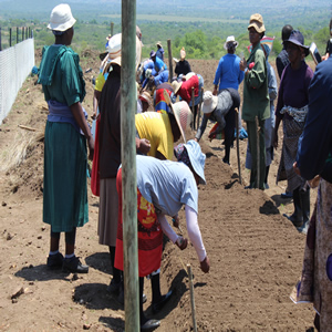 Community for Economic Development Project